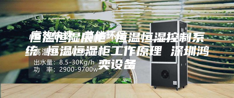 恒温恒湿展柜 恒温恒湿控制系统 恒温恒湿柜工作原理 深圳鸿奕设备