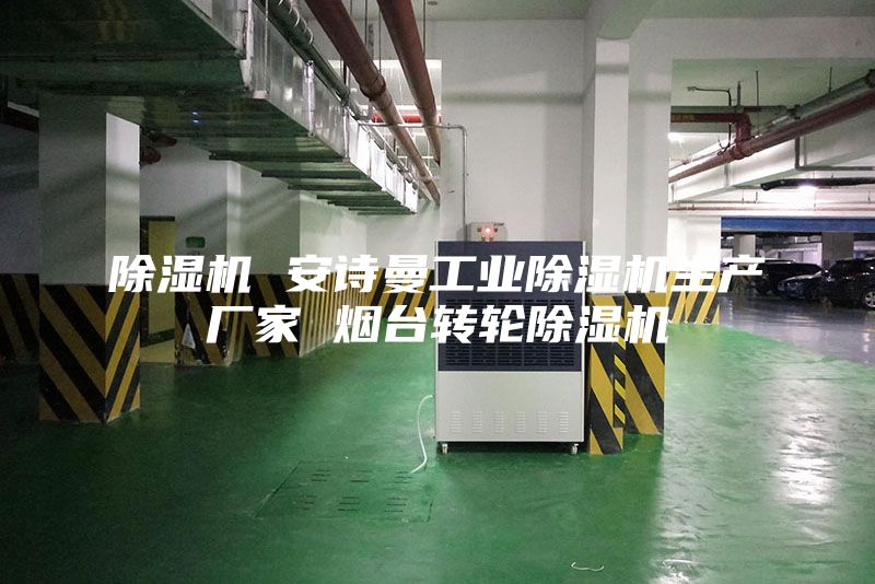 除湿机 安诗曼工业除湿机生产厂家 烟台转轮除湿机
