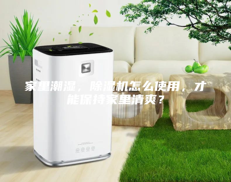 家里潮湿，除湿机怎么使用，才能保持家里清爽？