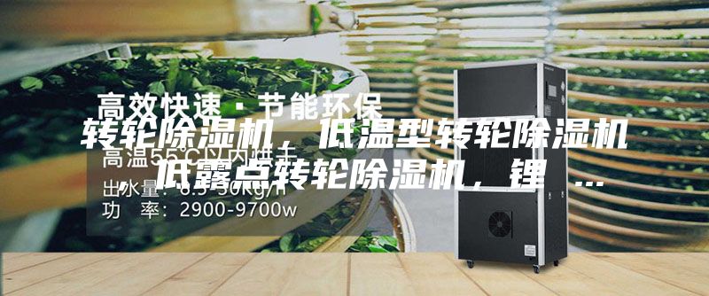转轮除湿机，低温型转轮除湿机，低露点转轮除湿机，锂 ...