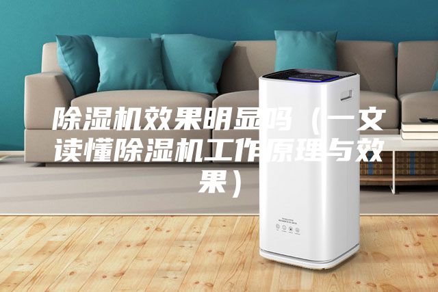 除湿机效果明显吗（一文读懂除湿机工作原理与效果）