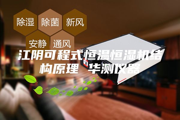 江阴可程式恒温恒湿机结构原理 华测仪器