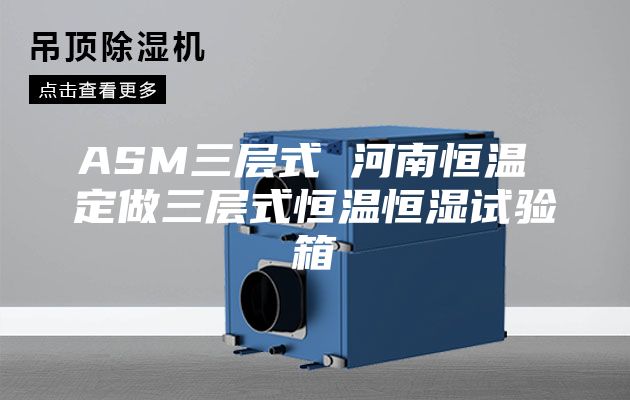 ASM三层式 河南恒温 定做三层式恒温恒湿试验箱