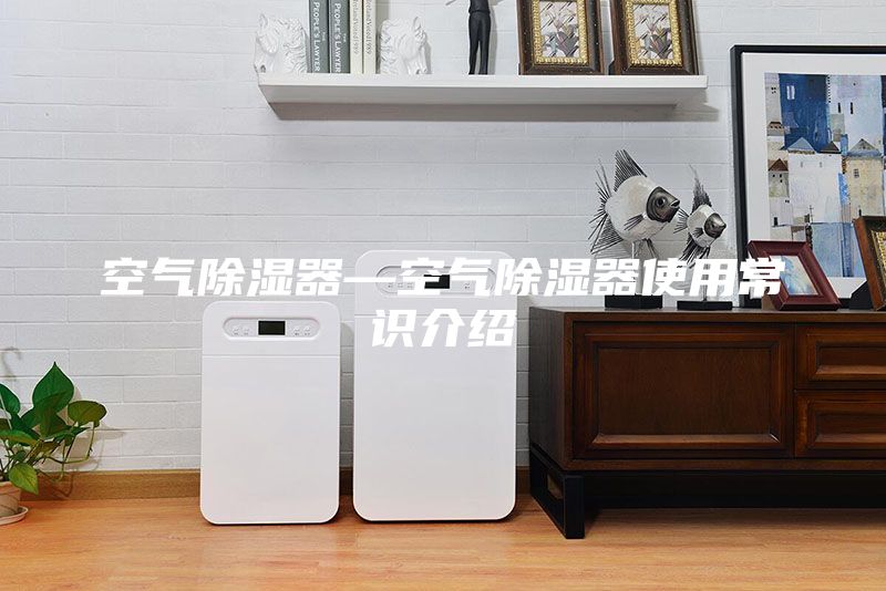 空气除湿器—空气除湿器使用常识介绍