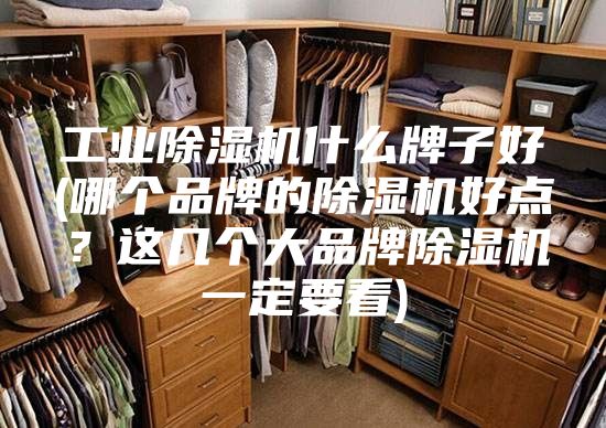 工业除湿机什么牌子好(哪个品牌的除湿机好点？这几个大品牌除湿机一定要看)