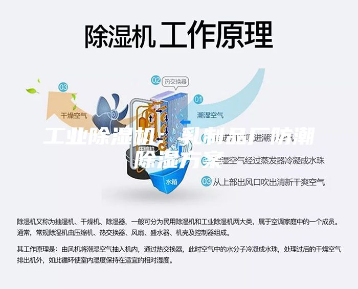 工业除湿机：乳制品厂防潮除湿方案