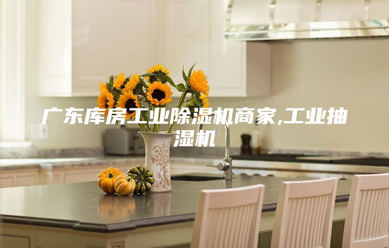 广东库房工业除湿机商家,工业抽湿机