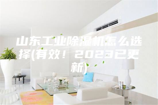 山东工业除湿机怎么选择(有效！2023已更新)