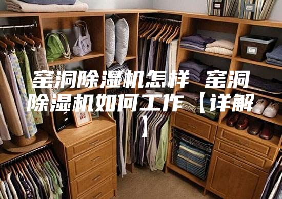 窑洞除湿机怎样 窑洞除湿机如何工作【详解】