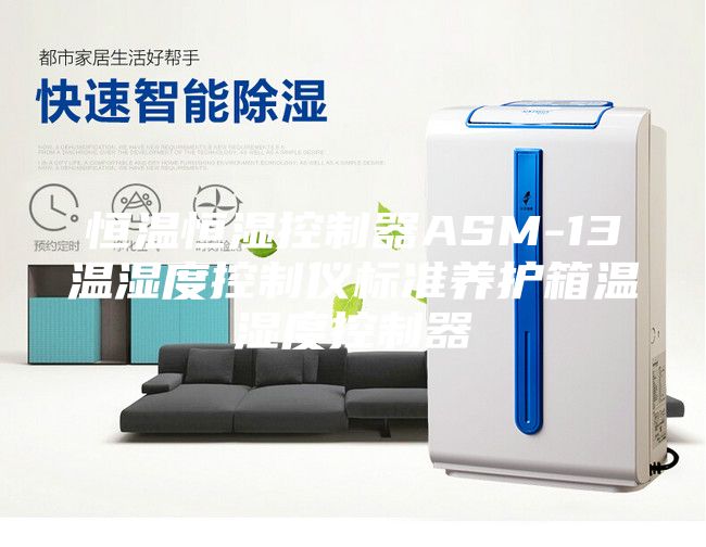 恒温恒湿控制器ASM-13温湿度控制仪标准养护箱温湿度控制器