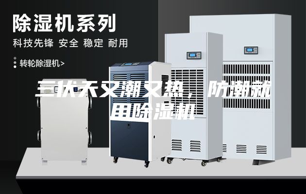 三伏天又潮又热，防潮就用除湿机