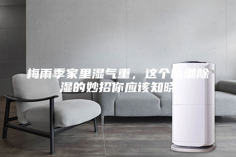 梅雨季家里湿气重，这个防潮除湿的妙招你应该知晓