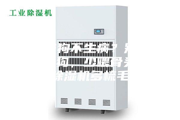 怎么养狗不生病？别买一针疫苗狗，少喂骨头，买除湿机多梳毛