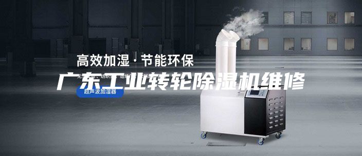广东工业转轮除湿机维修