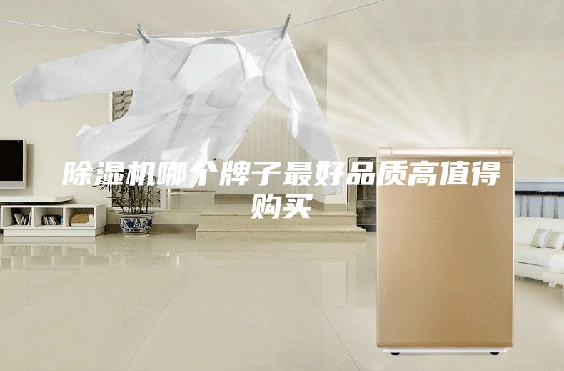除湿机哪个牌子最好品质高值得购买