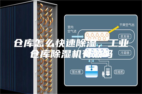 仓库怎么快速除湿，工业仓库除湿机有效吗