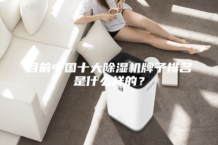目前中国十大除湿机牌子排名是什么样的？