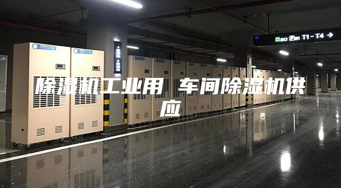 除湿机工业用 车间除湿机供应