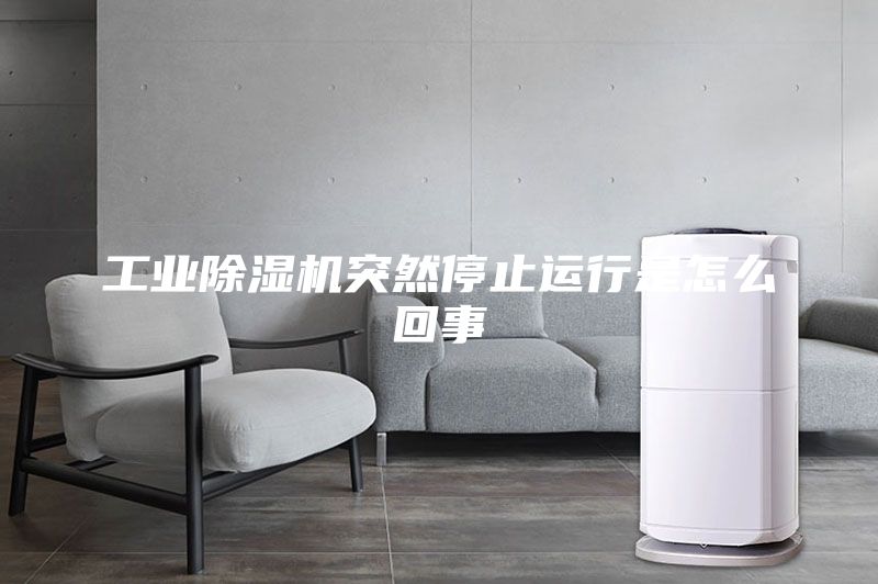 工业除湿机突然停止运行是怎么回事