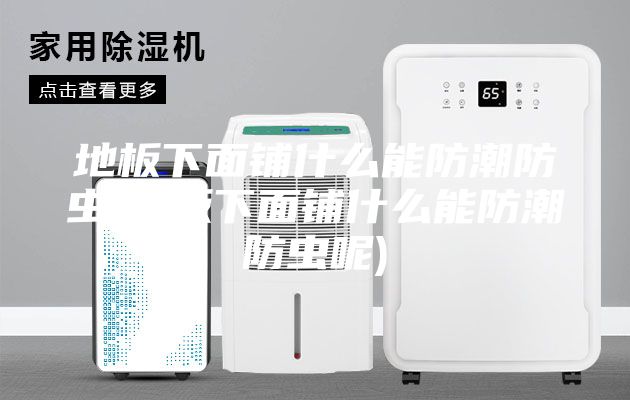 地板下面铺什么能防潮防虫(地板下面铺什么能防潮防虫呢)