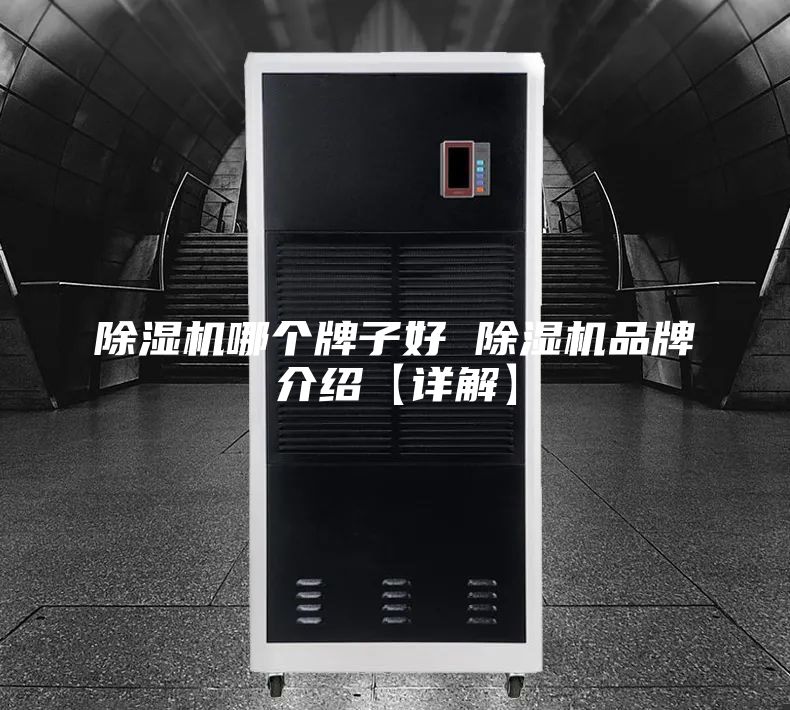 除湿机哪个牌子好 除湿机品牌介绍【详解】