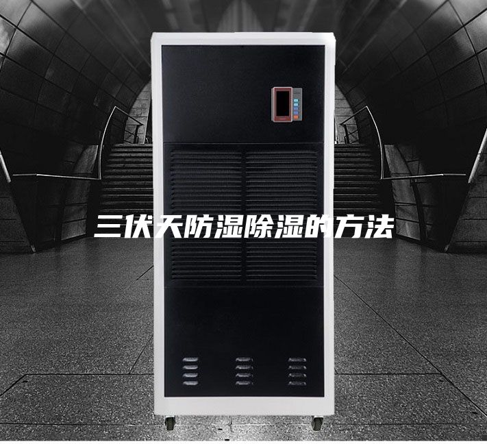 三伏天防湿除湿的方法
