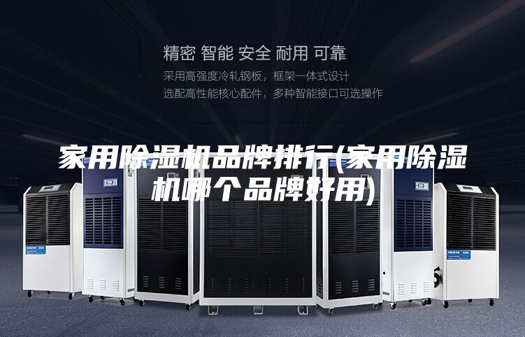 家用除湿机品牌排行(家用除湿机哪个品牌好用)