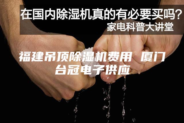 福建吊顶除湿机费用 厦门台冠电子供应