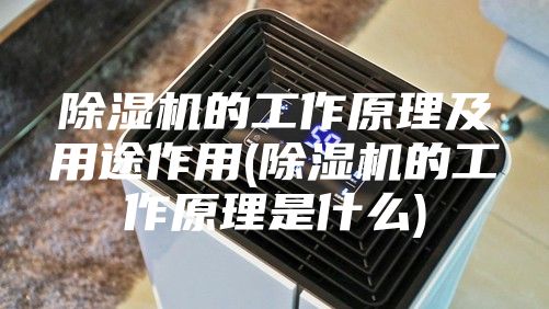 除湿机的工作原理及用途作用(除湿机的工作原理是什么)