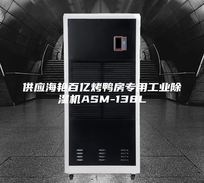 供应海艳百亿烤鸭房专用工业除湿机ASM-138L