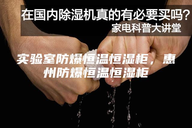 实验室防爆恒温恒湿柜，惠州防爆恒温恒湿柜
