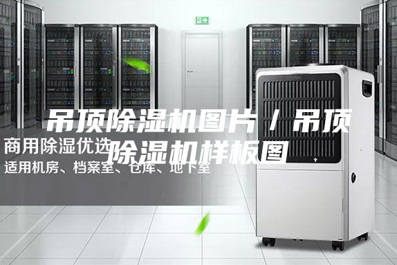 吊顶除湿机图片／吊顶除湿机样板图
