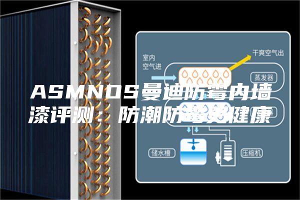 ASMNOS曼迪防霉内墙漆评测：防潮防霉更健康