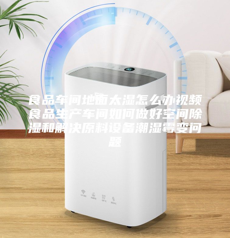 食品车间地面太湿怎么办视频食品生产车间如何做好空间除湿和解决原料设备潮湿霉变问题