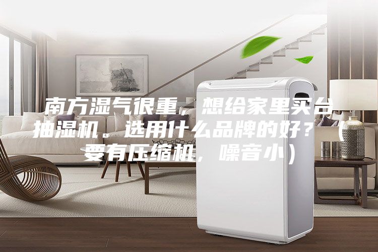 南方湿气很重，想给家里买台抽湿机。选用什么品牌的好？（要有压缩机，噪音小）