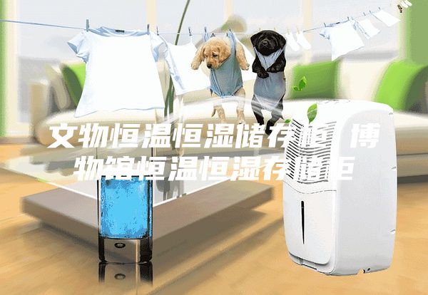 文物恒温恒湿储存柜 博物馆恒温恒湿存储柜