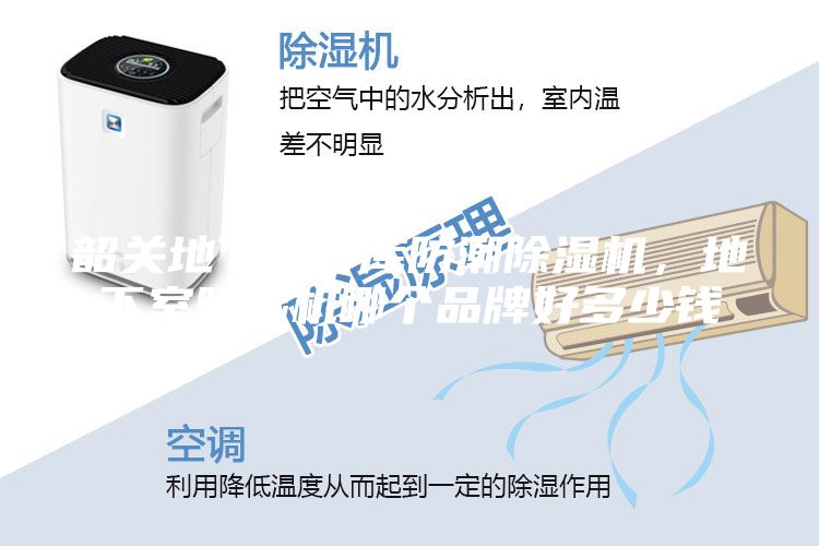 韶关地下室车库防潮除湿机，地下室除湿机哪个品牌好多少钱
