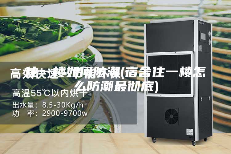 住一楼如何防潮(宿舍住一楼怎么防潮最彻底)