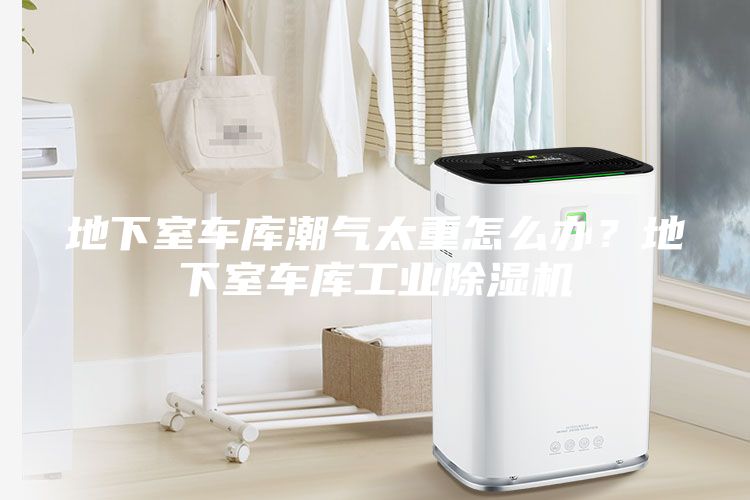 地下室车库潮气太重怎么办？地下室车库工业除湿机