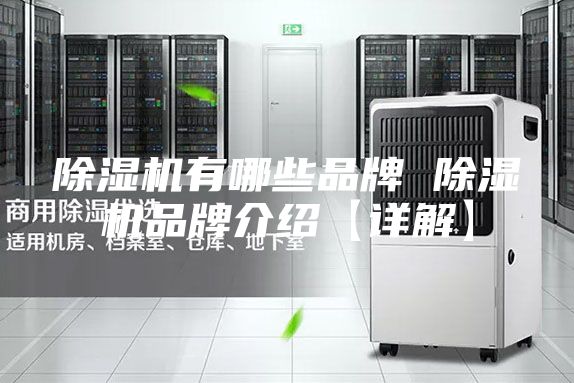 除湿机有哪些品牌 除湿机品牌介绍【详解】