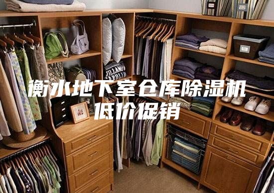 衡水地下室仓库除湿机低价促销