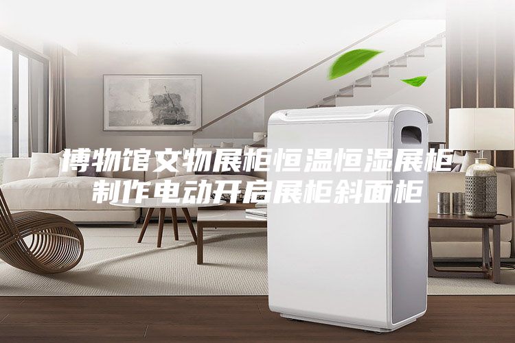 博物馆文物展柜恒温恒湿展柜制作电动开启展柜斜面柜