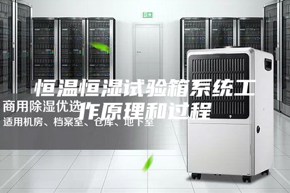 恒温恒湿试验箱系统工作原理和过程