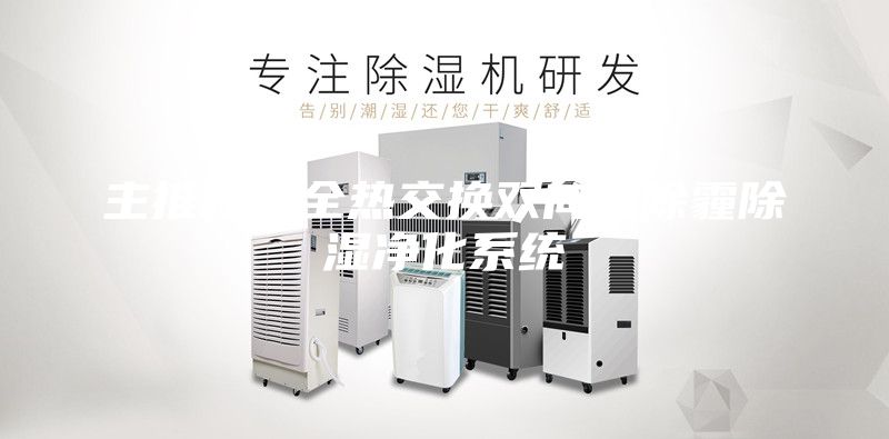 主推新风全热交换双向流除霾除湿净化系统