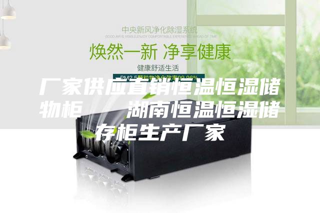 厂家供应直销恒温恒湿储物柜   湖南恒温恒湿储存柜生产厂家