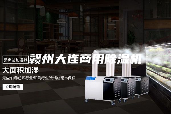 赣州大连商用除湿机