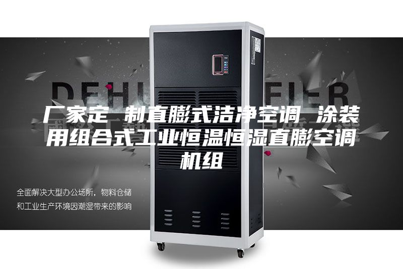 厂家定 制直膨式洁净空调 涂装用组合式工业恒温恒湿直膨空调机组