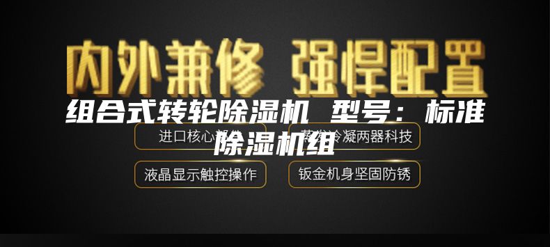 组合式转轮除湿机 型号：标准除湿机组
