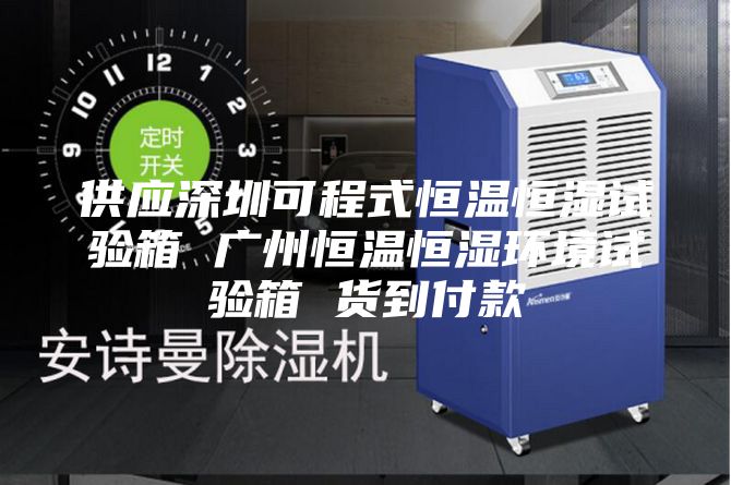 供应深圳可程式恒温恒湿试验箱 广州恒温恒湿环境试验箱 货到付款