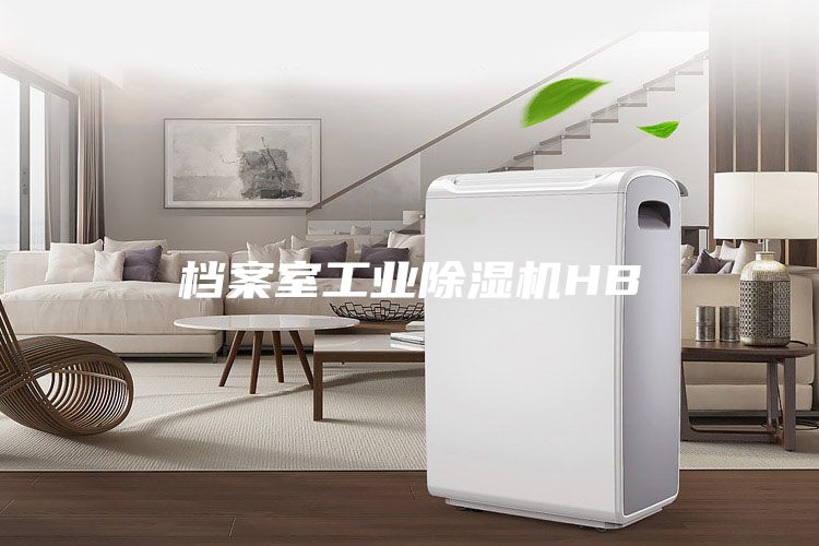 档案室工业除湿机HB